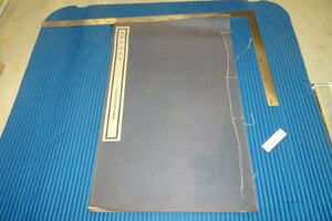 rarebookkyoto　F4B-332　戦前　惲南田花卉冊　　　コロタイプ画集　大型本　文明書局　　1934年頃　名人　名作　名品