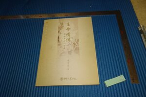 rarebookkyoto　F5B-452　国画背後の物語　　朱良志　　　2005年頃　名人　名作　名品