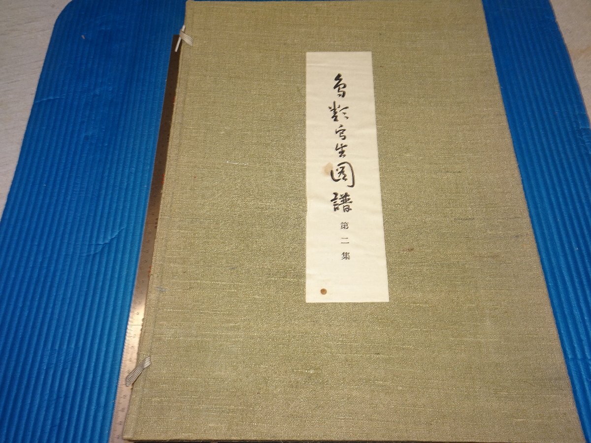 Rarebookkyoto F3B-61 Prewar Bird Sketches Volume 2 Large Book Katsuji Koizumi Circa 1930 Master Masterpiece Masterpiece, painting, Japanese painting, landscape, Fugetsu