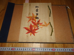 Art hand Auction rarebookkyoto H161 Takashimaya Art Club 100 Autumn Leaves Yamamoto Seiyama Catalog Not for Sale Ryusuke Tanigami 1915 Osaka Benrido, painting, Japanese painting, flowers and birds, birds and beasts