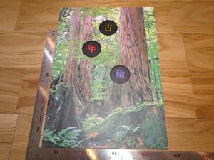 Rarebookkyoto　3FB-11　歴史考古　木の　古年輪　　奈良文化財研究所　2013年頃　名人　名作　名品