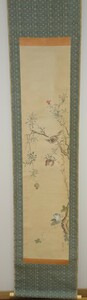 Art hand Auction रेयरबुकक्योटो 2k5 चित्र सामग्री अकिहिरो/पक्षी और फूल, रंगीन कागज, बॉक्स के साथ, 1870 के आसपास बनाया गया, सूत्रों की नकल, पंडित, सुलेखक, सील उत्कीर्णन, चित्रकारी, जापानी पेंटिंग, परिदृश्य, फुगेत्सु