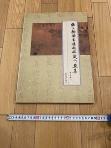 Art hand Auction Rarebookkyoto Q196 कला संग्रह का संग्रह झांग बोकोमा सु डियान पैलेस संग्रहालय फॉरबिडन सिटी पब्लिशिंग हाउस फरवरी 1998 सुलेखक चीनी संग्रहकर्ता, चित्रकारी, जापानी पेंटिंग, फूल और पक्षी, पक्षी और जानवर