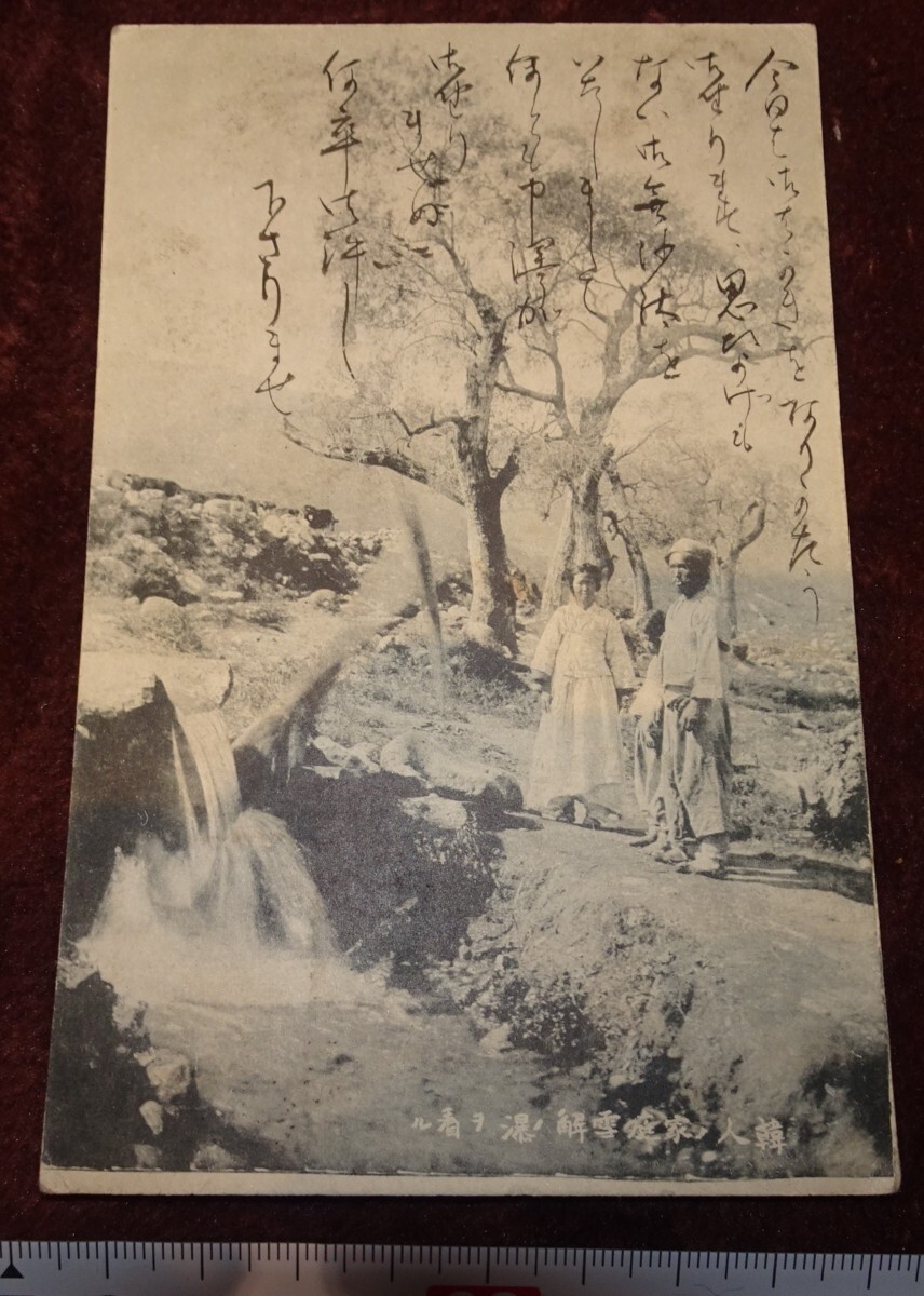 rarebookkyoto o503 朝鮮 総督府 時代 韓人家庭雪解け瀧観る 実用 絵葉書 1907年 李王家 李朝 韓国, 絵画, 日本画, 花鳥, 鳥獣