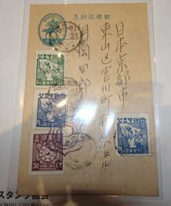 Art hand Auction rarebookkyoto o251 朝鮮 京城 光化門判 解放初め葉書 実用 1940 年 李王家 溥儀, 絵画, 日本画, 花鳥, 鳥獣