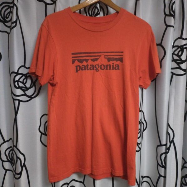 パタゴニア　ビッグロゴ　Tシャツ