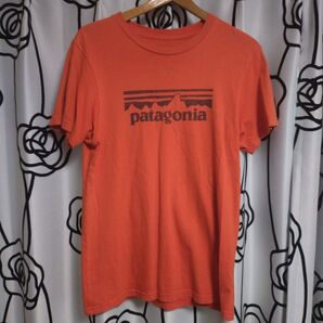 パタゴニア ビッグロゴ Tシャツ