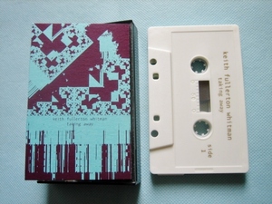 KEITH FULLERTON WHITMAN / TAKING AWAY 　アンビエント　　DIGITALIS