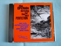 THE ORCHIDS / STRIVING FOR THE LAZY PERFECTION　　ネオアコ　ギターポップ　　SARAH RECORDS _画像1