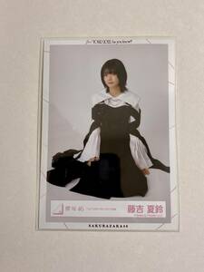 櫻坂46 藤吉夏鈴 1st TOUR 2021 ライブ衣装 生写真