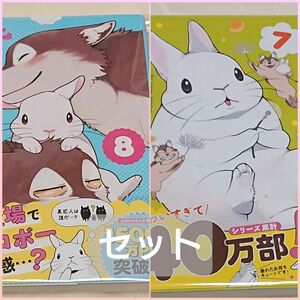 中古 コミック うさぎは正義 7と8