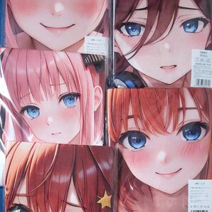 未開封 五等分な萌えバスタオル5枚セット(約100cmX50cm)