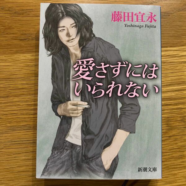 愛さずにはいられない （新潮文庫　ふ－１８－１５） 藤田宜永／著