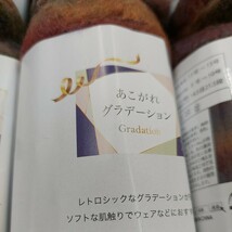 100円〜 ごしょう産業 毛糸 手芸材料 編み物◆あこがれグラデーション 色番3・10玉_画像2