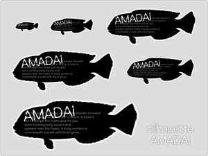 魚ステッカー(シルエットアマダイ)防水,UVカット,海,釣り,甘鯛（6サイズセット）