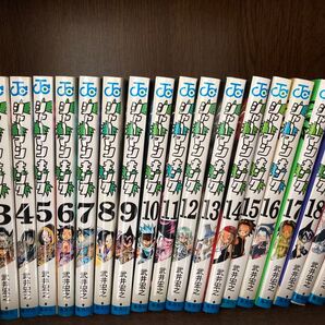 シャーマンキング 全巻