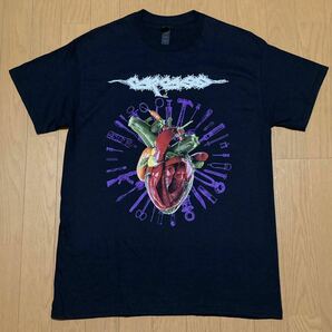 カーカス 2024ツアーTシャツ Mサイズ Carcass JAPAN TOUR の画像2