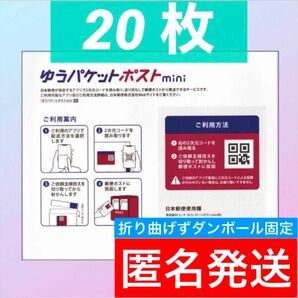 ゆうパケットポストmini専用封筒　20枚