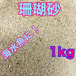 天然珊瑚砂 1kg さんご砂 サンゴ砂 ろ材 海水水槽 ヤドカリ グッピー