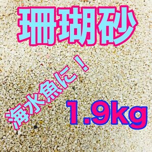 天然珊瑚砂 1.9kg さんご砂 サンゴ砂 ろ材 海水水槽 ヤドカリ グッピー