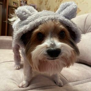 小型犬 犬用 犬服 猫用 防寒 冬用 モコモコ 洋服 ピンク グレー ブラウン