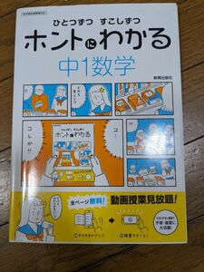 ホントにわかる中1数学