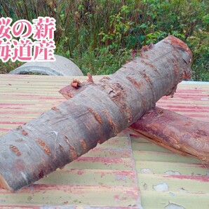 香り良し　桜の薪　北海道産　約19キロ　焚き火料理に！