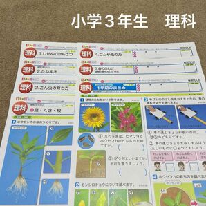 ①小学3年生　理科　カラーテスト