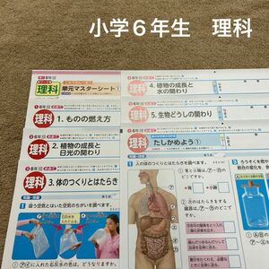 (青)小学6年生　理科　カラーテスト