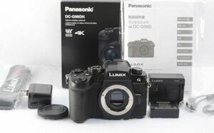 ■美品・ S数800回！■ パナソニック Panasonic LUMIX DC-G99Dボディ 【元箱】　#604-021-0409