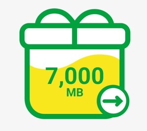 マイネオ パケットギフト 7000MB mineo　約７GB　①