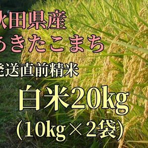 【新米】農家直送 令和5年 あきたこまち20kg 【発送直前精米】