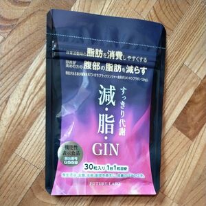 減、脂、GIN　30粒入り１ヶ月分