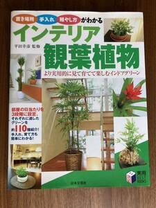 送料無料◆インテリア観葉植物◆日本文芸社　置き場所　お手入れ　殖やし方がわかる　カラー223ページ