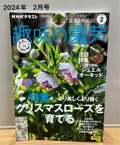 NHKテキスト　「趣味の園芸」２月号　　　　　　　　　　　　　
