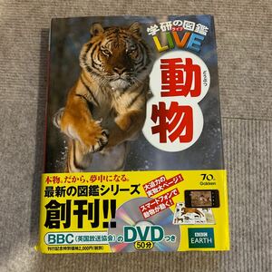 【中古】動物 （学研の図鑑ＬＩＶＥ　２） 今泉忠明／監修