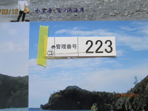 223 写真フレーム 写真撮影 撮影会 写真額縁 フォトフレーム 大きさが約外枠で64㎝ 46.5㎝ 枠幅が３㎝ 中古です。