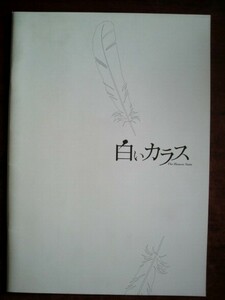 映画パンフレット「白いカラス」ニコール・キッドマン主演／チラシ付