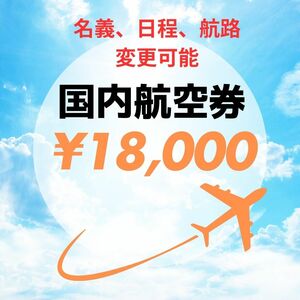 4月25日　那覇空港→羽田空港　ANA 名義、日程、航路変更可能