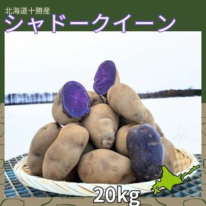 【20kg】北海道産　じゃがいも　シャドークイーン