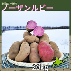 【20kg】北海道産　じゃがいも　ノーザンルビー