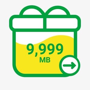 mineo 9999 MB【送無・匿名】 マイネオ パケットギフトコード （約10・9.76GB）【１】の画像1