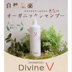 ディバイン ナノ シャンプー V 500ml 抜け毛 かゆみ　ノンシリコン　オーガニック　スカルプ　美容室専売 無香料