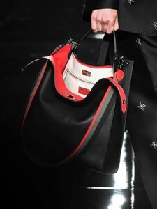 【ほぼ未使用】fendi ピーカブー　エックスライトフィット