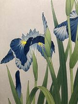 木版画 河原崎奨堂【花菖蒲】芸艸堂版 大判 彫長島 摺吉田 真作 ■ 浮世絵 新版画 植物画 Ukiyoe_画像5