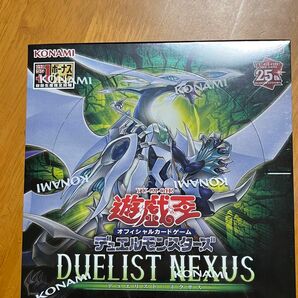 遊戯王OCGデュエルモンスターズ DUELIST NEXUS デュエリストネクサス　シュリンク付　新品　未開封