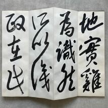 肉筆 手本 池田青軒 王鐸 草書帖 1点 折帖 書道 書家 書道家 折手本 和本 古書 和本_画像2