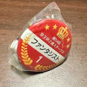 ファンタジスト 京王杯