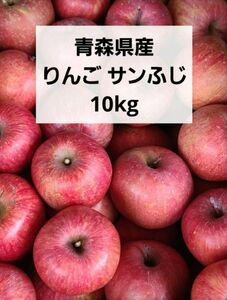 青森県産 りんご サンふじ 10kg 箱込み