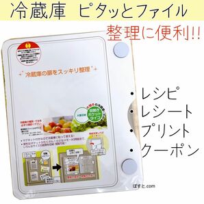 スキットマン 冷蔵庫 ピタッとファイル 見開きポケットタイプ 新品 ホワイトボード キングジム